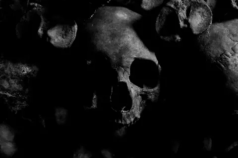 black-and-white-black-and-white-bones-970517.webp