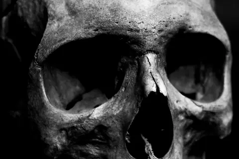 black-and-white-details-skull-1469220.webp